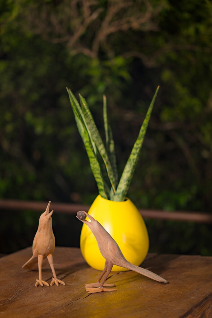 Decoración con figuras de pájaros en madera y planta en matera amarilla en eco lodge Rivabella, Boyacá.