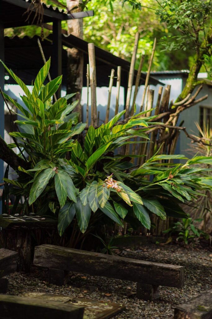 naturaleza en rivabella ecolodge