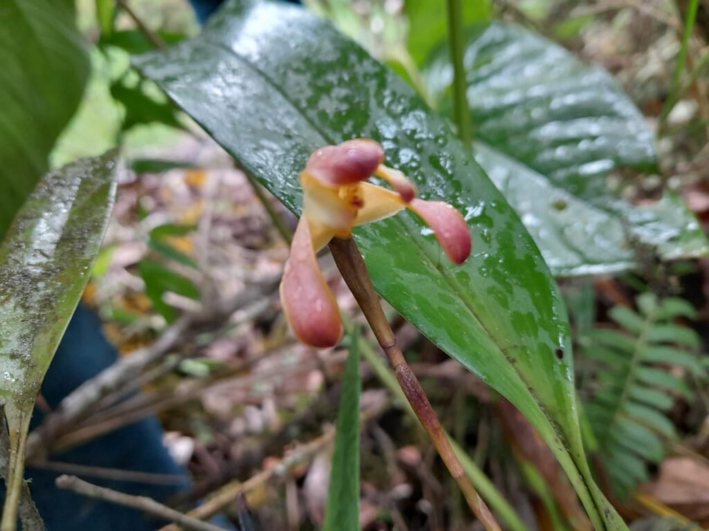 WhatsApp Image 2022-10-14 at 5.07.38 PM (1)