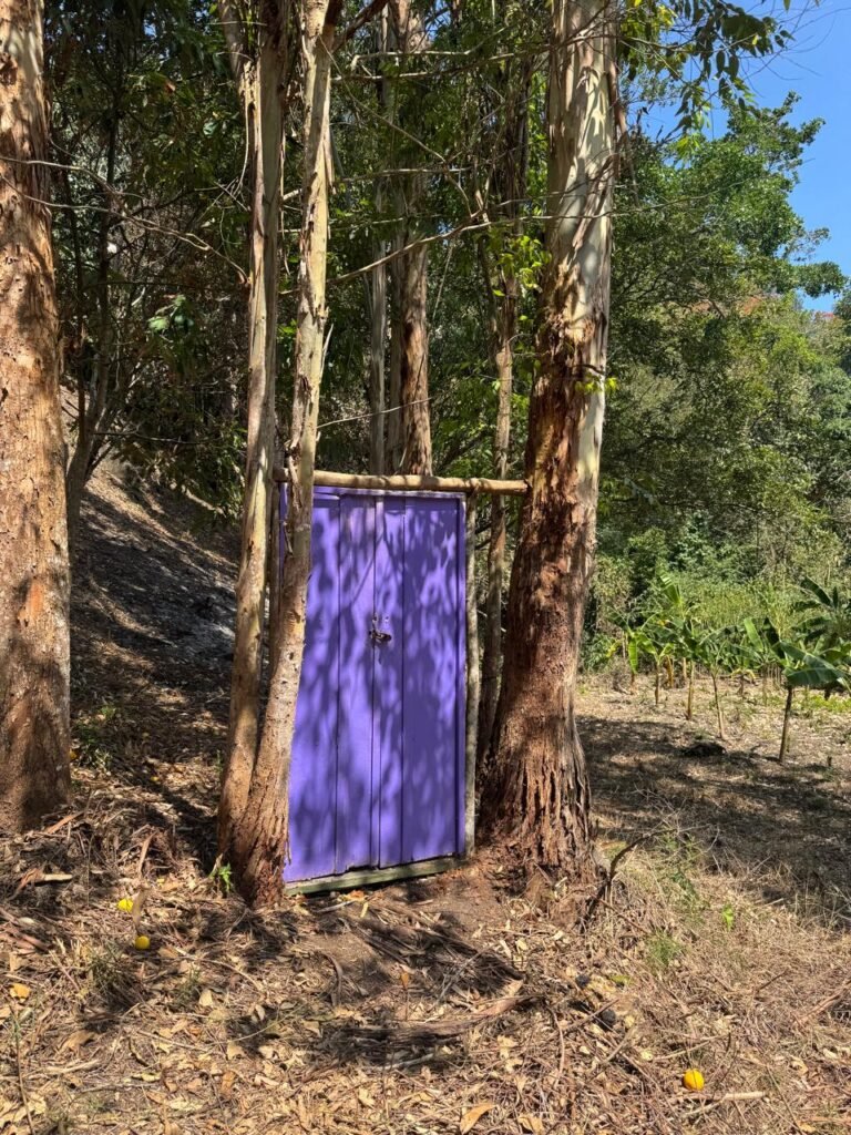 WhatsApp Image 2025-08-01 at 13.34.40