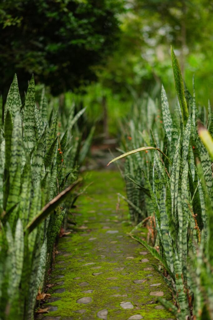 WhatsApp Image 2025-08-04 at 15.35.16