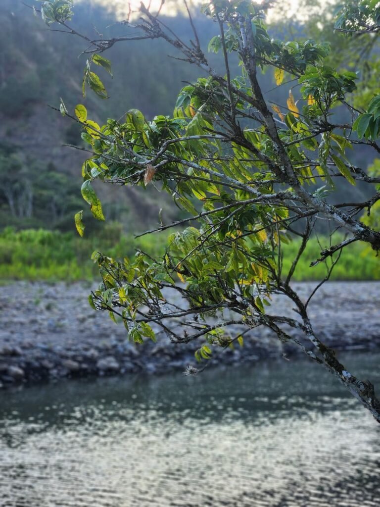 WhatsApp Image 2025-08-04 at 15.43.52 (1)