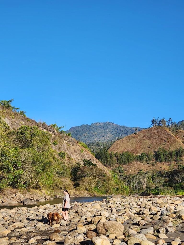 WhatsApp Image 2025-08-04 at 15.43.52 (2)