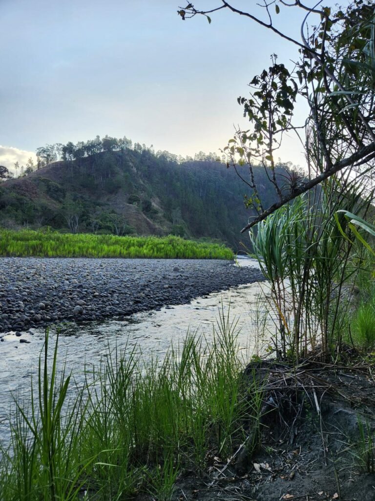 WhatsApp Image 2025-08-04 at 15.43.52