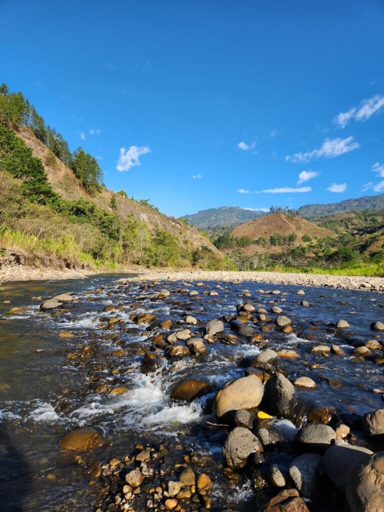 WhatsApp Image 2025-08-04 at 15.43.53 (2)