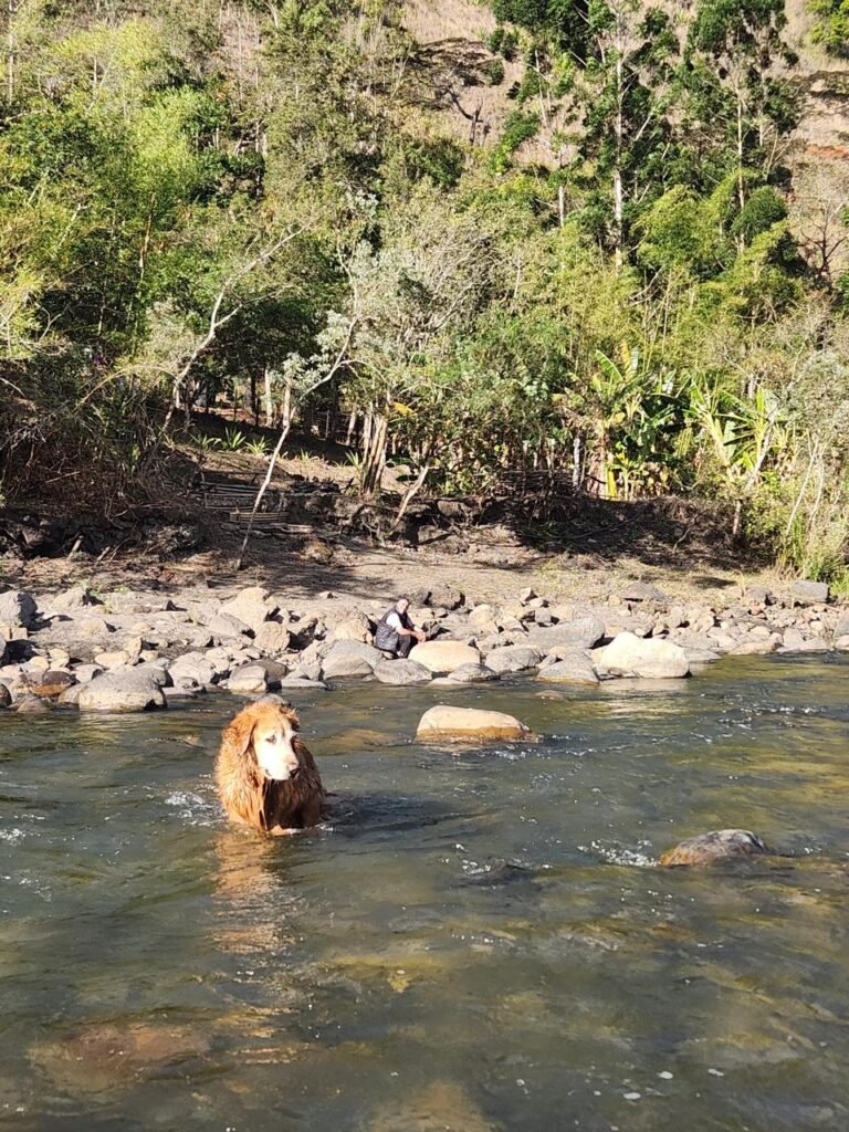 WhatsApp Image 2025-08-04 at 15.43.53